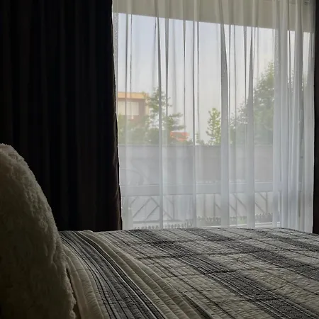 Daire Sunny Noks Orchid *