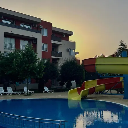 Daire Sunny Noks Orchid