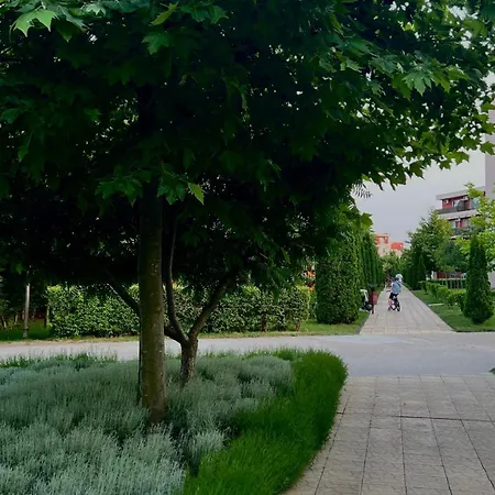 Sunny Noks Orchid Daire